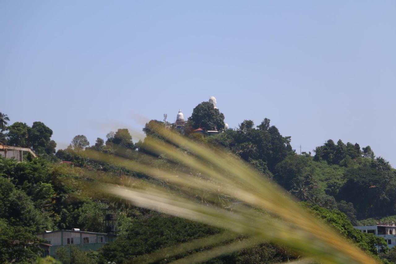 Kandy City Village 외부 사진